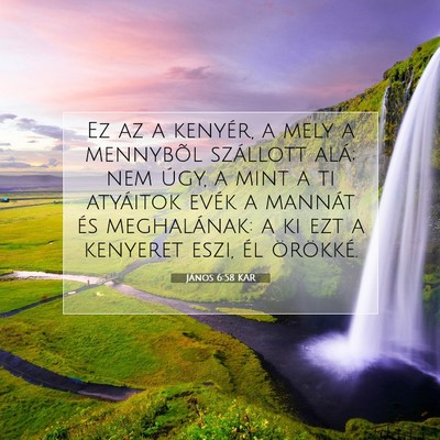 Picture 07 - János 6:58 KAR - Ez az a kenyér, a mely a mennybõl szállott - Bible Verse Picture