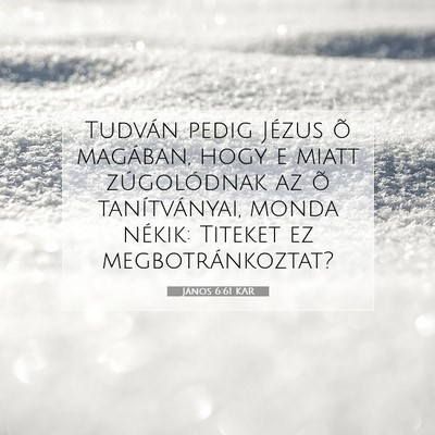 Picture 07 - János 6:61 KAR - Tudván pedig Jézus õ magában, hogy e miatt - Bible Verse Picture