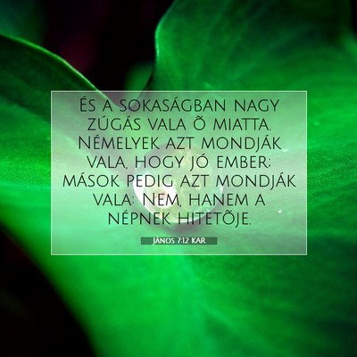 Picture 07 - János 7:12 KAR - És a sokaságban nagy zúgás vala õ miatta. - Bible Verse Picture