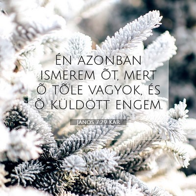 Picture 07 - János 7:29 KAR - Én azonban ismerem õt, mert õ tõle vagyok, - Bible Verse Picture
