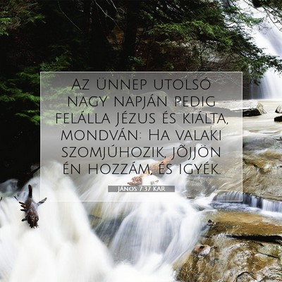 Picture 07 - János 7:37 KAR - Az ünnep utolsó nagy napján pedig felálla - Bible Verse Picture