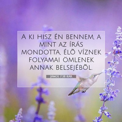 Picture 07 - János 7:38 KAR - A ki hisz én bennem, a mint az írás mondotta, - Bible Verse Picture
