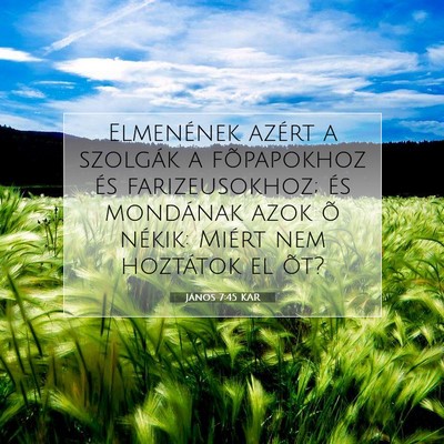 Picture 07 - János 7:45 KAR - Elmenének azért a szolgák a fõpapokhoz és - Bible Verse Picture