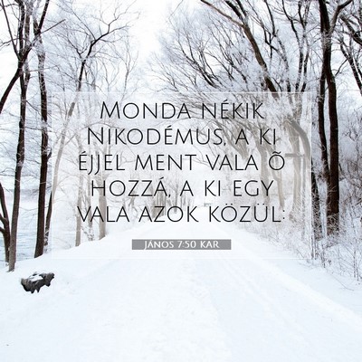 Picture 07 - János 7:50 KAR - Monda nékik Nikodémus, a ki éjjel ment vala õ - Bible Verse Picture