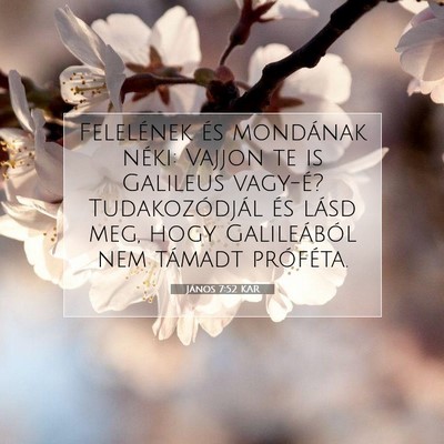 Picture 07 - János 7:52 KAR - Felelének és mondának néki: Vajjon te is - Bible Verse Picture