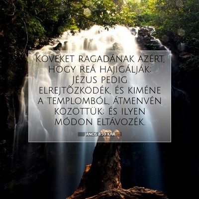 Picture 07 - János 8:59 KAR - Köveket ragadának azért, hogy reá - Bible Verse Picture