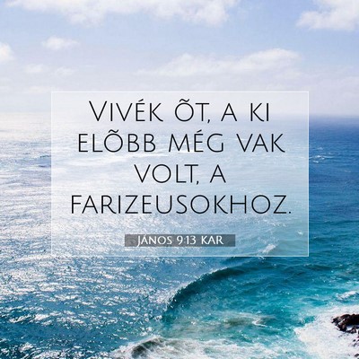 Picture 07 - János 9:13 KAR - Vivék õt, a ki elõbb még vak volt, a - Bible Verse Picture