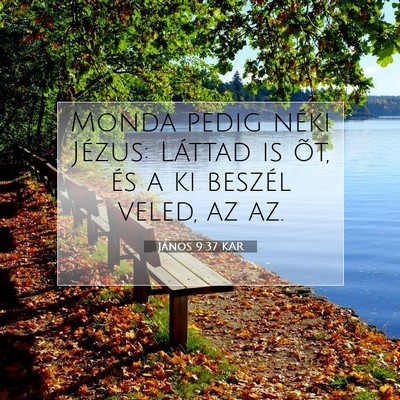 Picture 07 - János 9:37 KAR - Monda pedig néki Jézus: Láttad is õt, és a - Bible Verse Picture