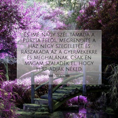 Picture 07 - Jób 1:19 KAR - És ímé nagy szél támada a puszta felõl, - Bible Verse Picture