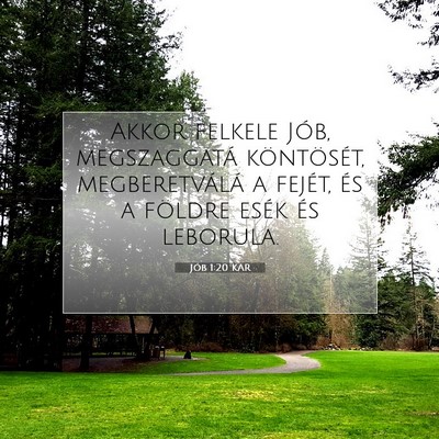 Picture 07 - Jób 1:20 KAR - Akkor felkele Jób, megszaggatá köntösét, - Bible Verse Picture