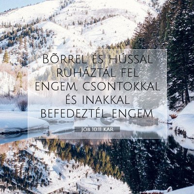 Picture 07 - Jób 10:11 KAR - Bõrrel és hússal ruháztál fel engem, - Bible Verse Picture