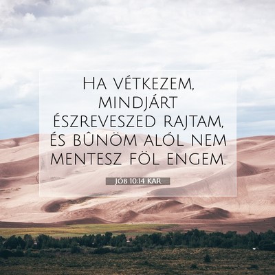 Picture 07 - Jób 10:14 KAR - Ha vétkezem, mindjárt észreveszed rajtam, és - Bible Verse Picture