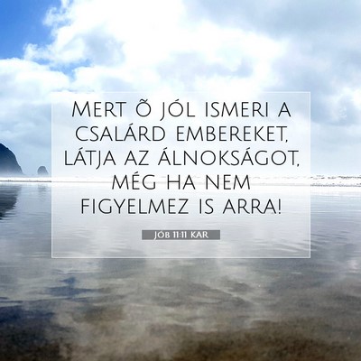 Picture 07 - Jób 11:11 KAR - Mert õ jól ismeri a csalárd embereket, látja - Bible Verse Picture