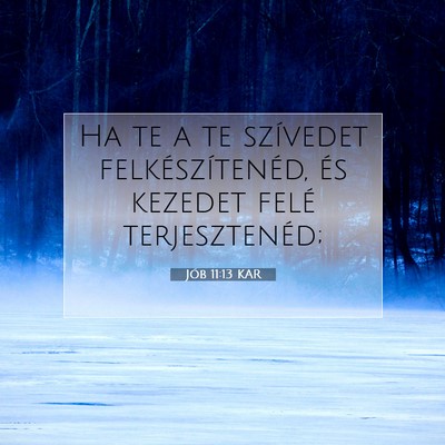 Picture 07 - Jób 11:13 KAR - Ha te a te szívedet felkészítenéd, és - Bible Verse Picture