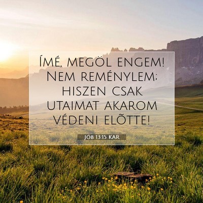 Picture 07 - Jób 13:15 KAR - Ímé, megöl engem! Nem reménylem; hiszen csak - Bible Verse Picture