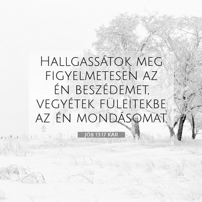 Picture 07 - Jób 13:17 KAR - Hallgassátok meg figyelmetesen az én - Bible Verse Picture