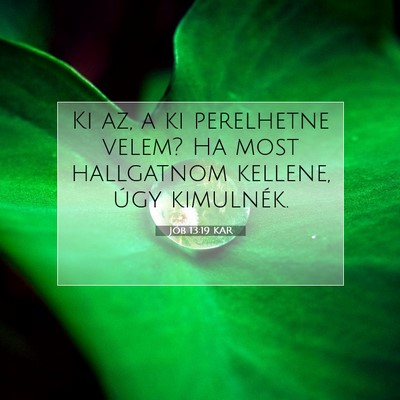 Picture 07 - Jób 13:19 KAR - Ki az, a ki perelhetne velem? Ha most hallgatnom - Bible Verse Picture
