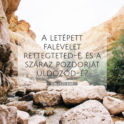 Picture 07 - Jób 13:25 KAR - A letépett falevelet rettegteted-é, és a - Bible Verse Picture