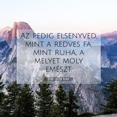 Picture 07 - Jób 13:28 KAR - Az pedig elsenyved, mint a redves fa, mint ruha, - Bible Verse Picture