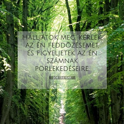 Picture 07 - Jób 13:6 KAR - Halljátok meg, kérlek, az én feddõzésemet, - Bible Verse Picture