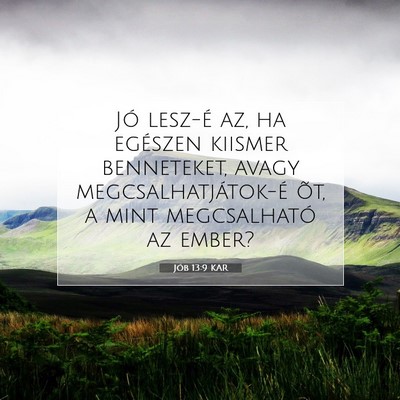 Picture 07 - Jób 13:9 KAR - Jó lesz-é az, ha egészen kiismer benneteket, - Bible Verse Picture