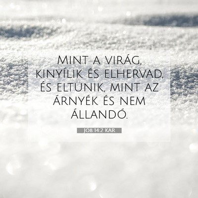 Picture 07 - Jób 14:2 KAR - Mint a virág, kinyílik és elhervad, és - Bible Verse Picture