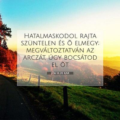 Picture 07 - Jób 14:20 KAR - Hatalmaskodol rajta szüntelen és õ elmegy; - Bible Verse Picture