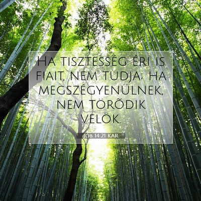 Picture 07 - Jób 14:21 KAR - Ha tisztesség éri is fiait, nem tudja; ha - Bible Verse Picture
