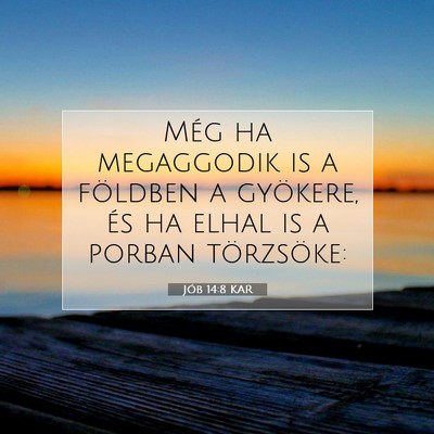 Picture 07 - Jób 14:8 KAR - Még ha megaggodik is a földben a gyökere, és - Bible Verse Picture