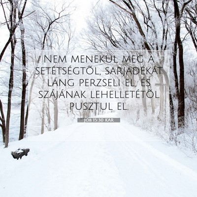 Picture 07 - Jób 15:30 KAR - Nem menekül meg a setétségtõl, sarjadékát - Bible Verse Picture