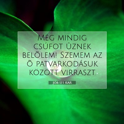 Picture 07 - Jób 17:1 KAR - Még mindig csúfot ûznek belõlem! Szemem az õ - Bible Verse Picture