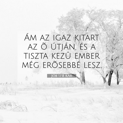 Picture 07 - Jób 17:8 KAR - Ám az igaz kitart az õ útján, és a tiszta - Bible Verse Picture