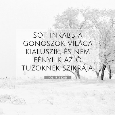Picture 07 - Jób 18:5 KAR - Sõt inkább a gonoszok világa kialuszik, és - Bible Verse Picture
