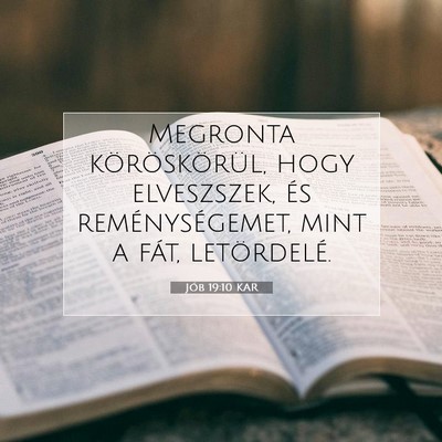 Picture 07 - Jób 19:10 KAR - Megronta köröskörül, hogy elveszszek, és - Bible Verse Picture