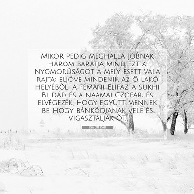 Picture 07 - Jób 2:11 KAR - Mikor pedig meghallá Jóbnak három barátja - Bible Verse Picture