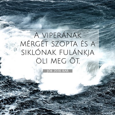 Picture 07 - Jób 20:16 KAR - A viperának mérgét szopta és a siklónak - Bible Verse Picture