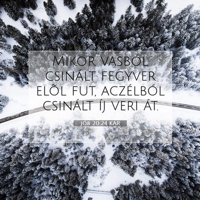 Picture 07 - Jób 20:24 KAR - Mikor vasból csinált fegyver elõl fut, - Bible Verse Picture