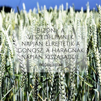 Picture 07 - Jób 21:30 KAR - Bizony a veszedelemnek napján elrejtetik a - Bible Verse Picture