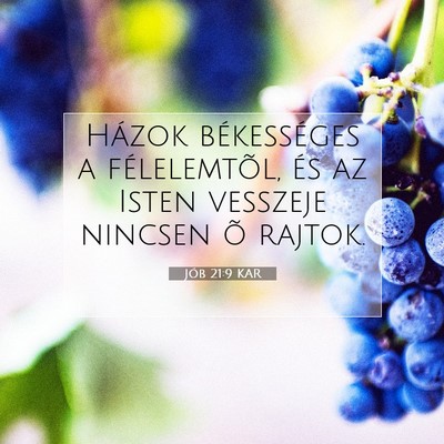 Picture 07 - Jób 21:9 KAR - Házok békességes a félelemtõl, és az Isten - Bible Verse Picture