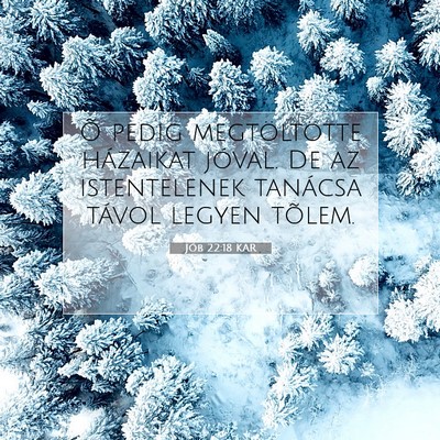 Picture 07 - Jób 22:18 KAR - Õ pedig megtöltötte házaikat jóval. De az - Bible Verse Picture