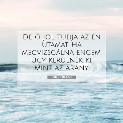 Picture 07 - Jób 23:10 KAR - De õ jól tudja az én utamat. Ha megvizsgálna - Bible Verse Picture
