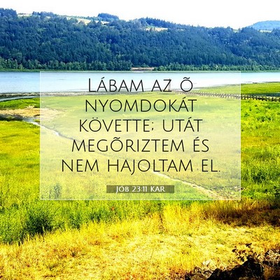 Picture 07 - Jób 23:11 KAR - Lábam az õ nyomdokát követte; utát - Bible Verse Picture