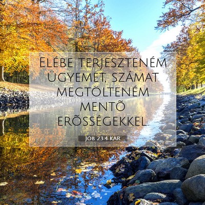 Picture 07 - Jób 23:4 KAR - Elébe terjeszteném ügyemet, számat - Bible Verse Picture