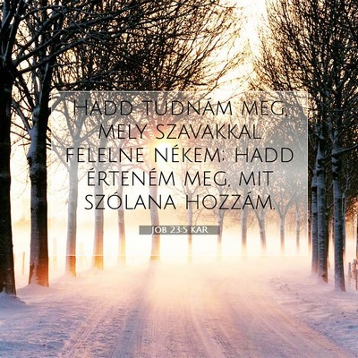 Picture 07 - Jób 23:5 KAR - Hadd tudnám meg, mely szavakkal felelne nékem; - Bible Verse Picture