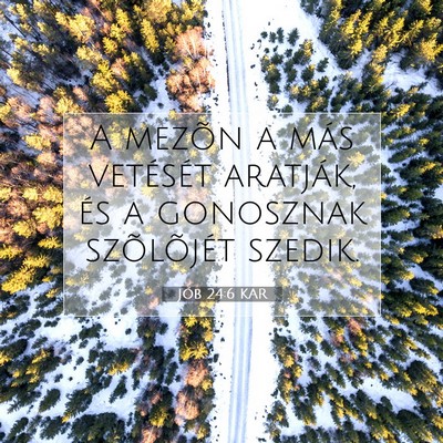 Picture 07 - Jób 24:6 KAR - A mezõn a más vetését aratják, és a - Bible Verse Picture