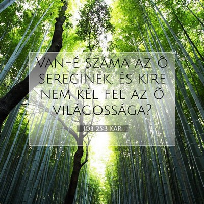 Picture 07 - Jób 25:3 KAR - Van-é száma az õ sereginek, és kire nem kél - Bible Verse Picture