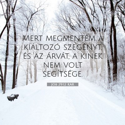 Picture 07 - Jób 29:12 KAR - Mert megmentém a kiáltozó szegényt, és az - Bible Verse Picture