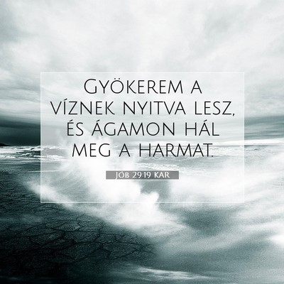 Picture 07 - Jób 29:19 KAR - Gyökerem a víznek nyitva lesz, és ágamon hál - Bible Verse Picture