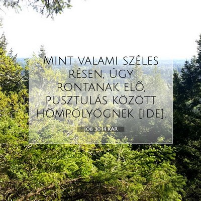 Picture 07 - Jób 30:14 KAR - Mint valami széles résen, úgy rontanak elõ, - Bible Verse Picture