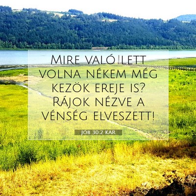 Picture 07 - Jób 30:2 KAR - Mire való lett volna nékem még kezök ereje - Bible Verse Picture